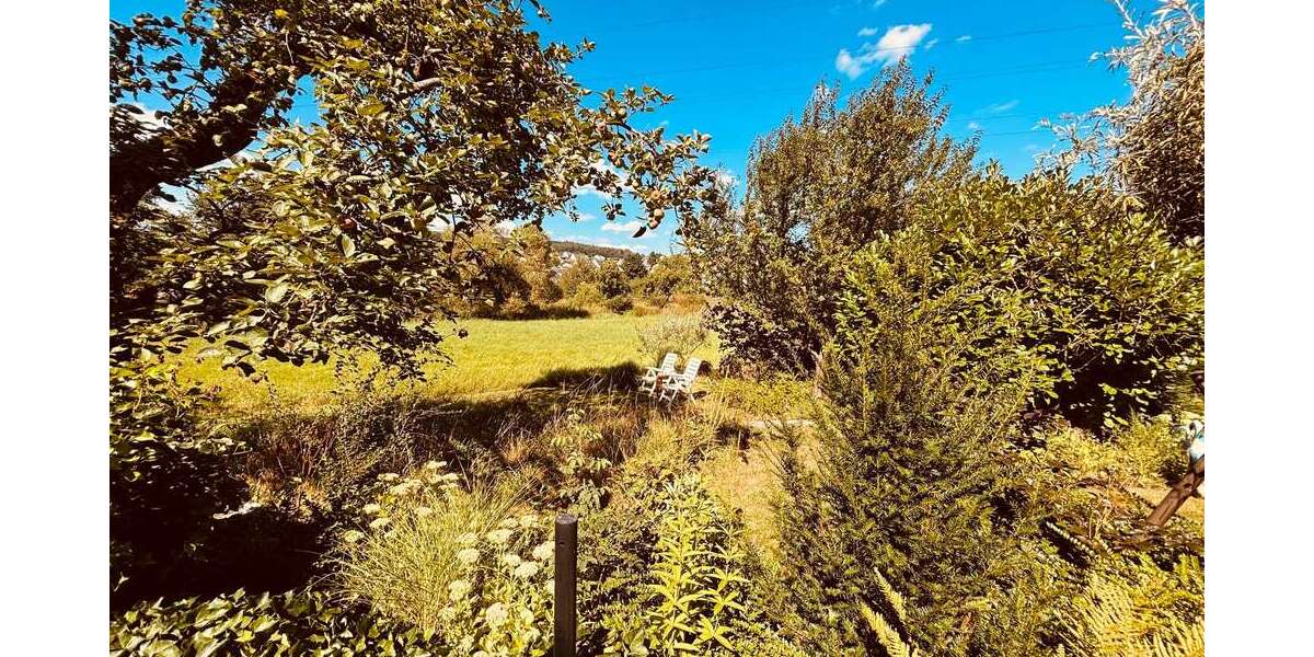 Einmalig: Großes Anwesen mit vielen Möglichkeiten im Grünen - Anwesen Ehringshausen | Angebot:27095964