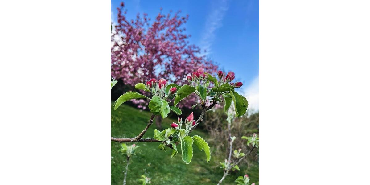 Einfamilienhaus Weilmünster - 4 Zimmer, 100 m&sup2;, 253.000&euro; | Angebot:25932347