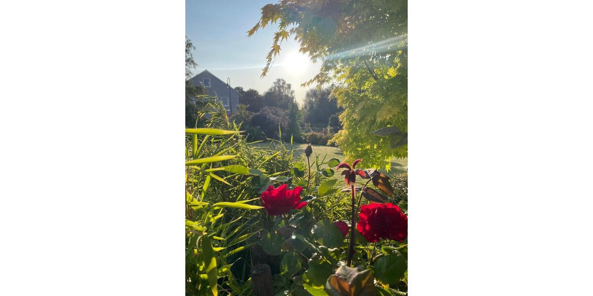 Einfamilienhaus Ober-Mörlen Mörlen - 7 Zimmer, 151 m&sup2;, 539.000&euro; | Angebot:25857014