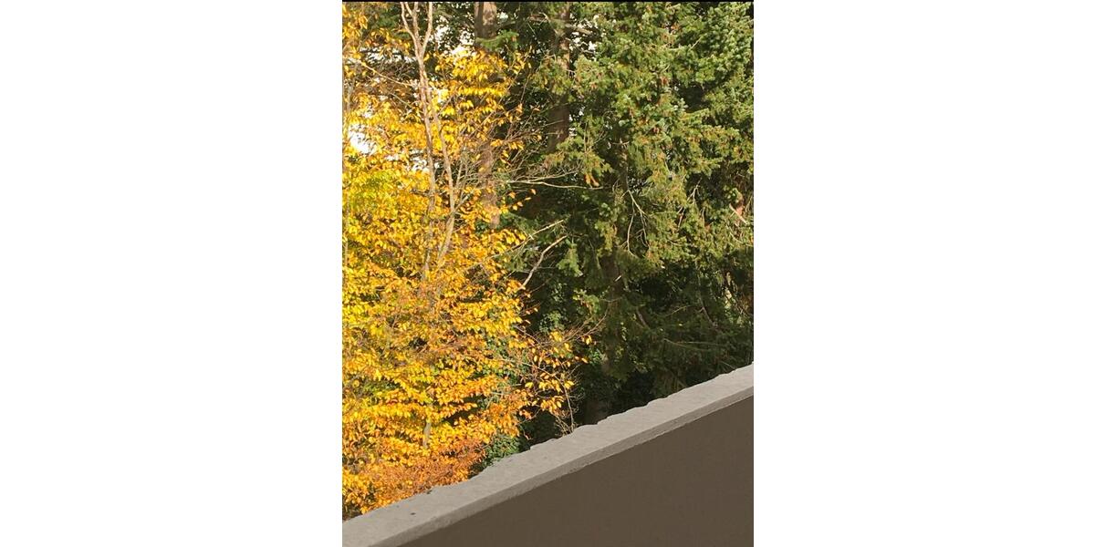 Etagenwohnung Bad Nauheim - 2 Zimmer, 50 m&sup2;, 825&euro; | Angebot:26634695