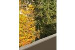 Etagenwohnung Bad Nauheim - 2 Zimmer, 50 m&sup2;, 825&euro; | Angebot:26634695
