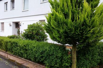 Wohnung Gießen Wieseck - 3 Zimmer, 124 m&sup2;, 1.200&euro; | Angebot:26006071