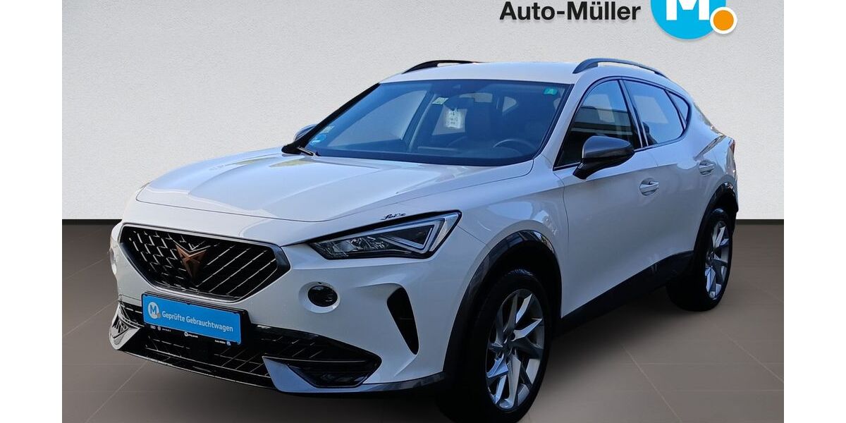Cupra Formentor 43.051 km 19.770 &euro; Hüttenberg-Rechtenbach 35625