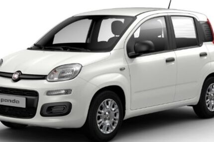Fiat Panda 6.000 km 13.985 &euro; Pohlheim 35415