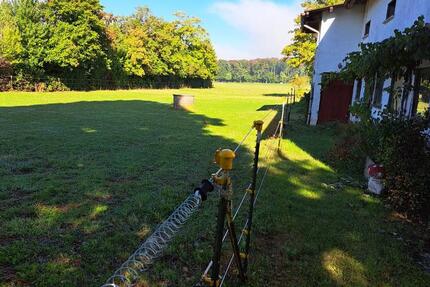 Haus Pohlheim - 5.5 Zimmer, 140 m&sup2;, 649.000&euro; | Angebot:25941115