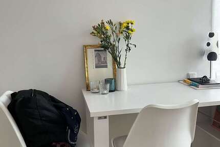 Wohnung Gießen - 1 Zimmer, 21 m&sup2;, 500&euro; | Angebot:25822078