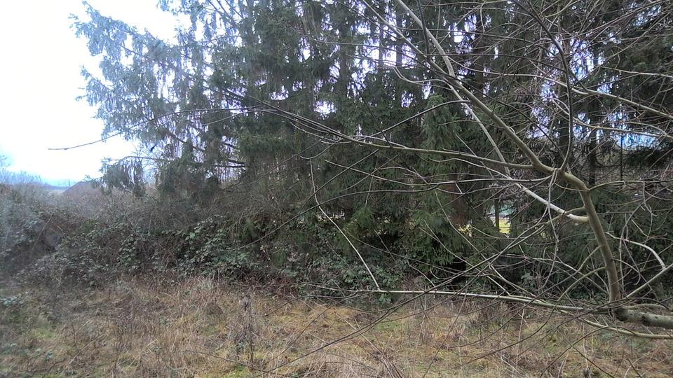 Erdgeschoßwohnung Gießen Allendorf - 3 Zimmer, 60 m&sup2;, 650&euro; | Angebot:24953114