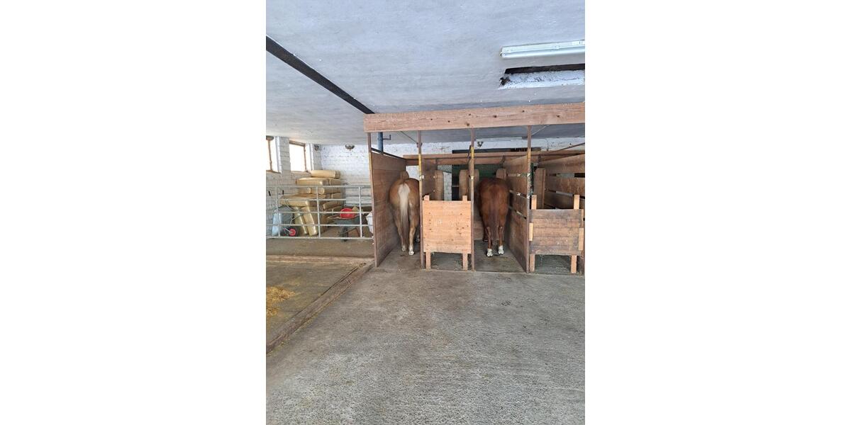 Einfamilienhaus Pohlheim - 5.5 Zimmer, 140 m&sup2;, 649.000&euro; | Angebot:25941115