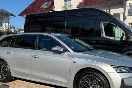 Skoda Octavia 11.900 km 29.990 &euro; Münzenberg 35516