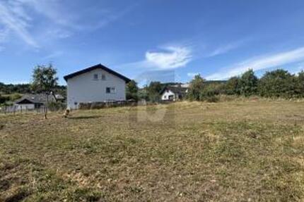 GESTALTUNGSFREIHEIT TRIFFT RUHE UND NATUR - Grundstück Greifenstein | Angebot:25707084