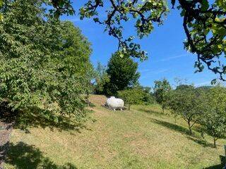 Mehrfamilienhaus, Wohnhaus Bad Endbach Hartenrod - 8 Zimmer, 180 m&sup2;, 170.000&euro; | Angebot:25777052