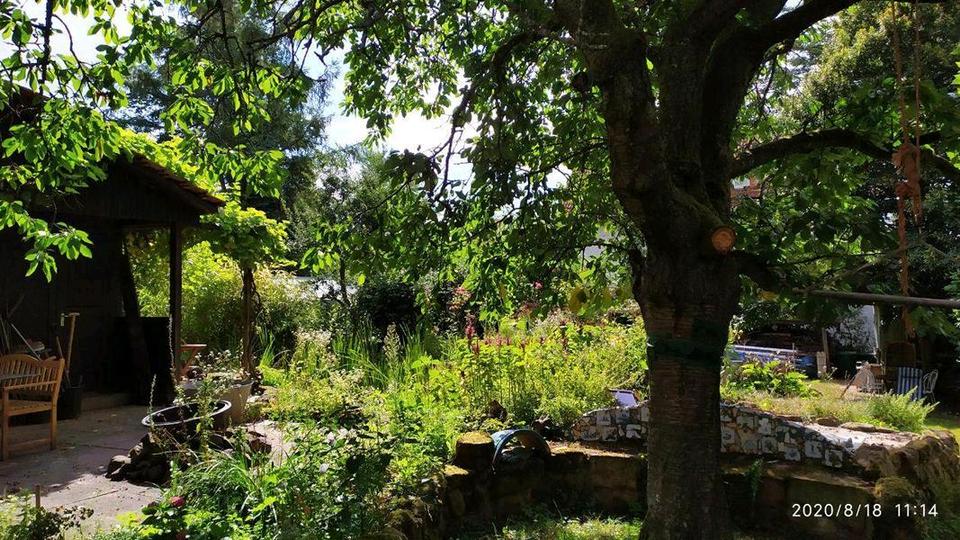 Dachgeschoßwohnung Marburg Biegenviertel - 2 Zimmer, 38 m&sup2;, 530&euro; | Angebot:25051945