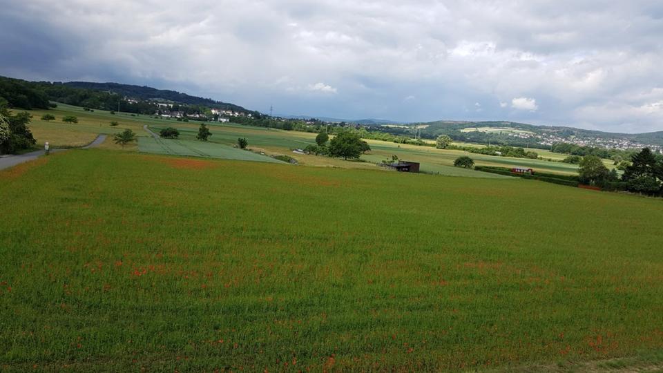 Etagenwohnung Solms - 3 Zimmer, 125 m&sup2;, 1.100&euro; | Angebot:25046820