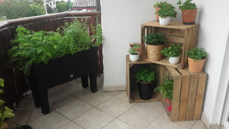 Etagenwohnung Gießen Allendorf - 3 Zimmer, 100 m&sup2;, 980&euro; | Angebot:25839090