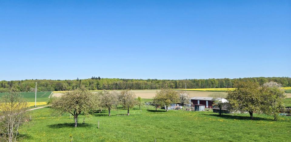 Einfamilienhaus Grünberg - 3.5 Zimmer, 102 m&sup2;, 1.600&euro; | Angebot:26577789