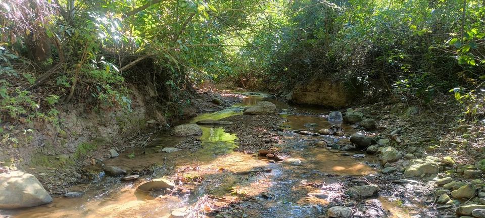 Einfamilienhaus Gießen Anneröder Siedlung - 70.000&euro; | Angebot:21249000