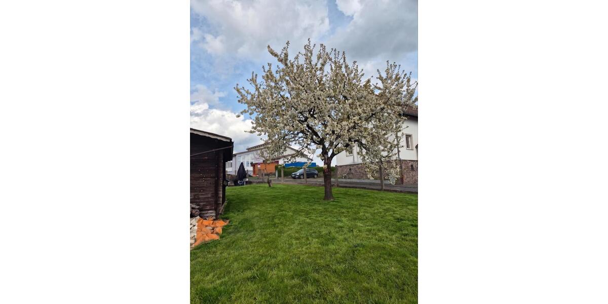 Einfamilienhaus Fronhausen - 6 Zimmer, 136 m&sup2;, 389.000&euro; | Angebot:26582738