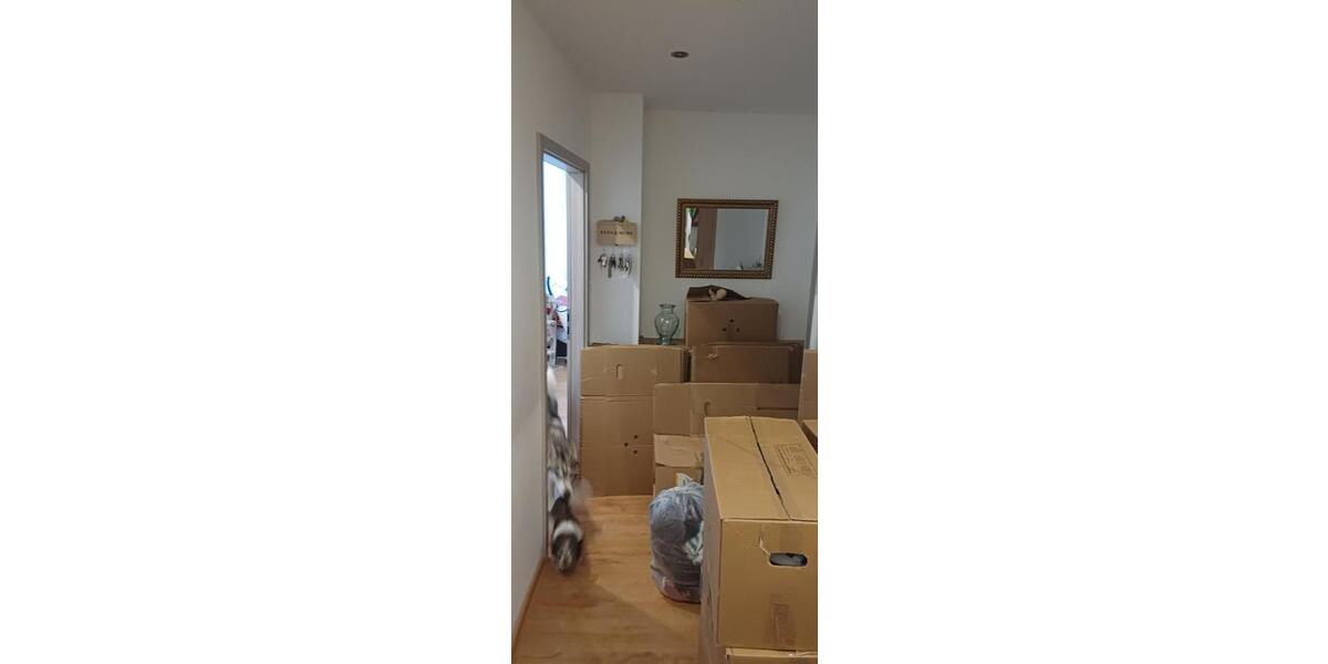 Erdgeschoßwohnung Biebertal - 5 Zimmer, 137 m&sup2;, 1.096&euro; | Angebot:25941684