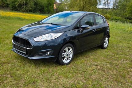 Ford Fiesta 117.850 km 5.500 &euro; Mücke 35325