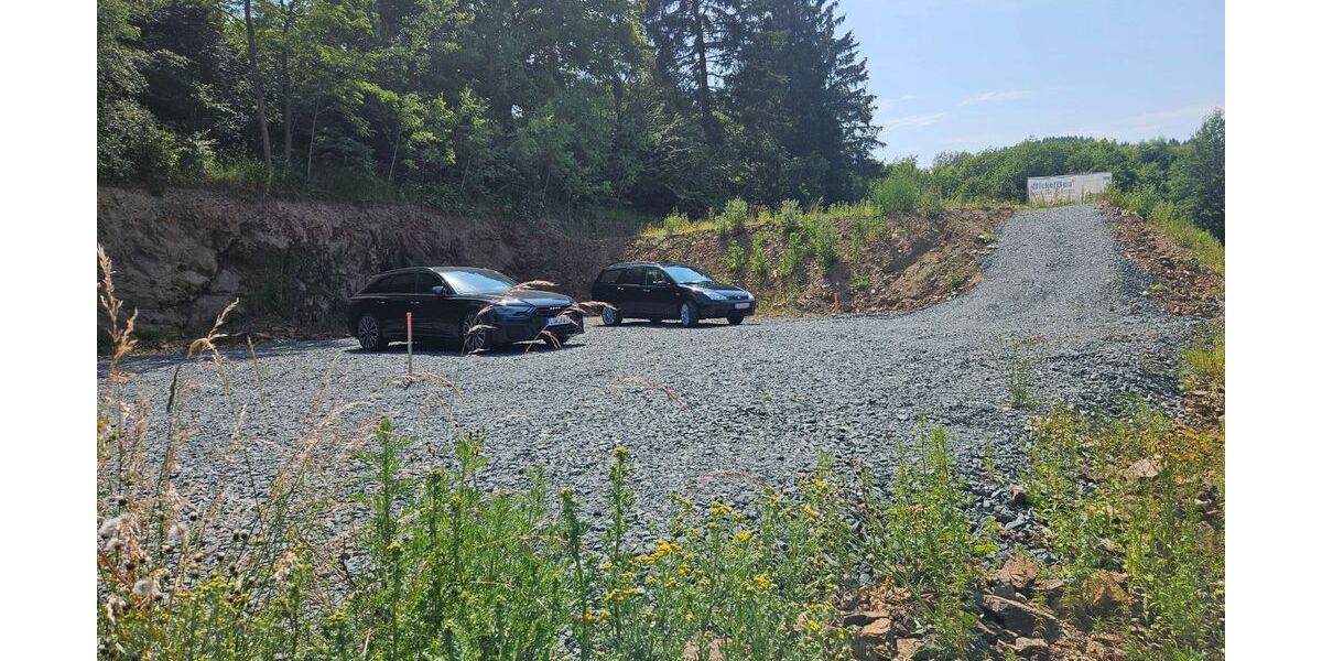 Ford Focus 273.289 km 2.200 &euro; Linden 35440