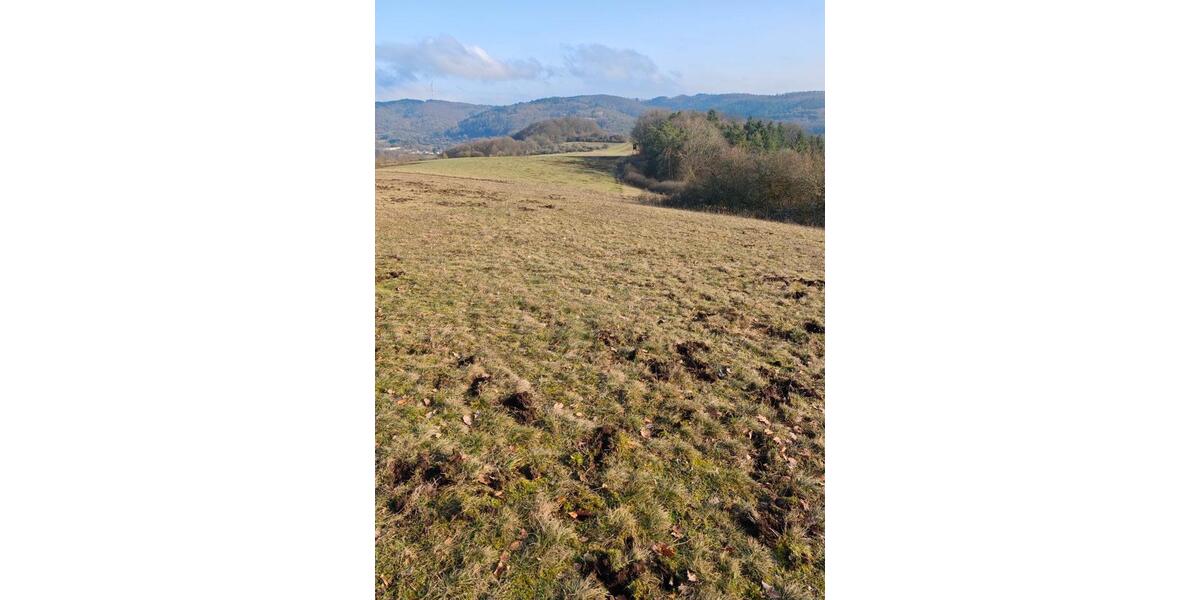 Grundstück Bischoffen - 6.500&euro; | Angebot:25303603