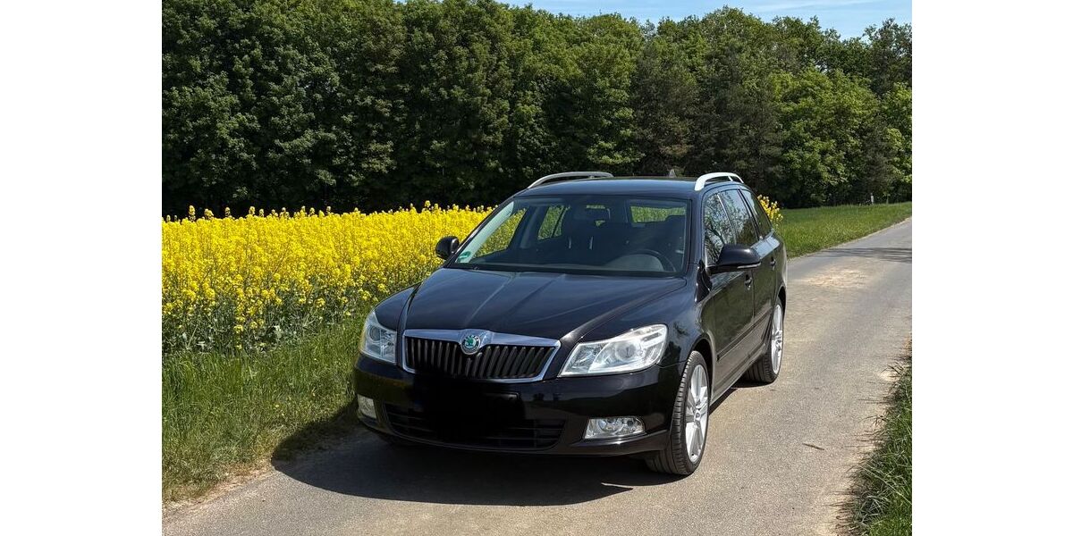Skoda Octavia 216.000 km 3.899 &euro; Wetzlar 35582