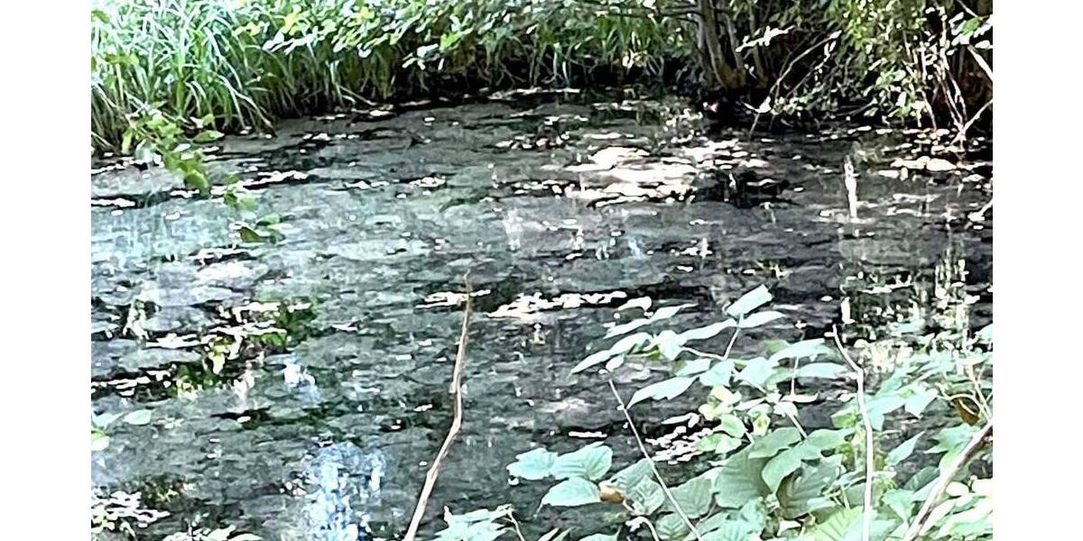 Grundstück Herborn - 38.500&euro; | Angebot:25834959