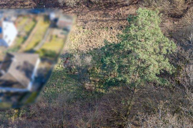 Grundstück Wetzlar / Nauborn Nauborn - 89.000&euro; | Angebot:25844985