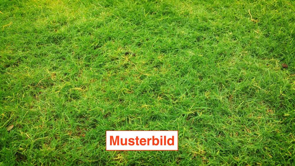 Grundstück Bad Nauheim - 299.000&euro; | Angebot:26683422