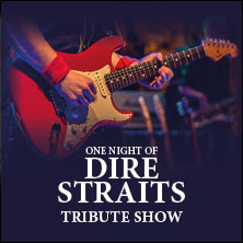 One Night of Dire Straits - Tribute Show 11.04.2026 Stadthalle Marburg