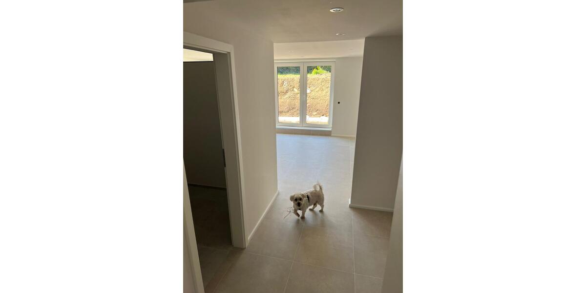 Etagenwohnung Wölfersheim - 2 Zimmer, 71 m&sup2;, 1.000&euro; | Angebot:26660248