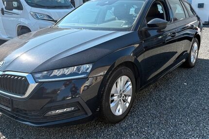 Skoda Octavia 220.563 km 13.500 &euro; Mücke 35325