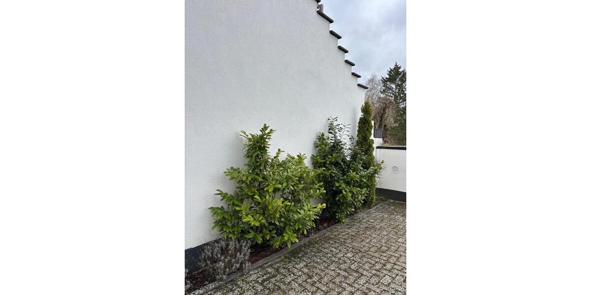 Erdgeschoßwohnung Staufenberg - 3.5 Zimmer, 80 m&sup2;, 279.000&euro; | Angebot:25973414