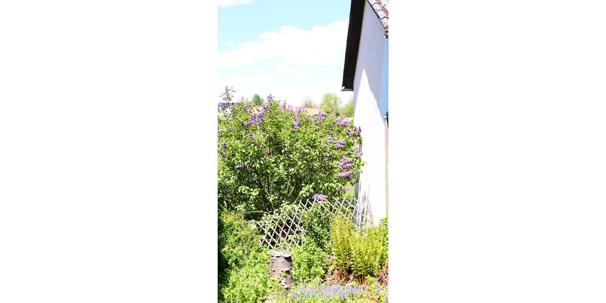 Mehrfamilienhaus, Wohnhaus Braunfels - 7 Zimmer, 174 m&sup2;, 395.000&euro; | Angebot:25772719