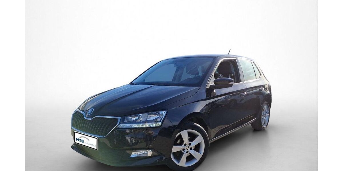 Skoda Fabia 93.990 km 8.950 &euro; Friedberg 61169