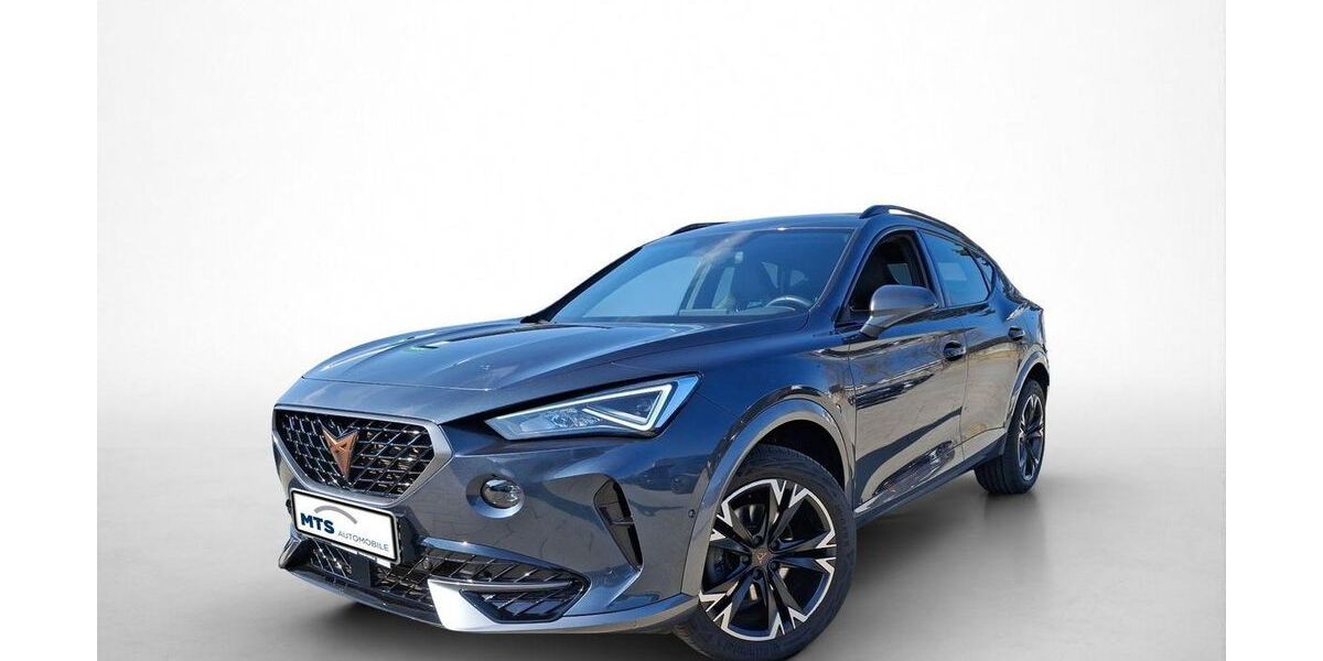 Cupra Formentor 48.301 km 27.650 &euro; Friedberg 61169