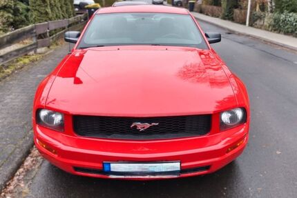Ford Mustang 227.000 km 6.750 &euro; Mücke 35325
