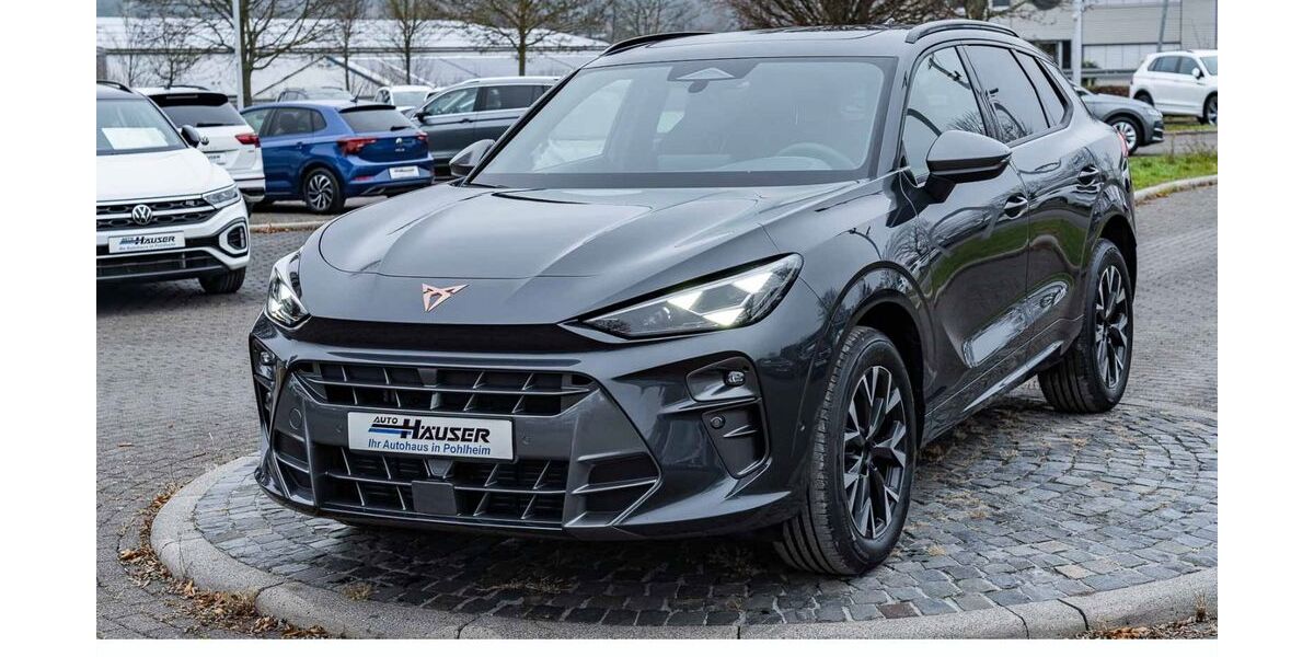 Cupra Terramar 9.000 km 41.985 &euro; Pohlheim 35415