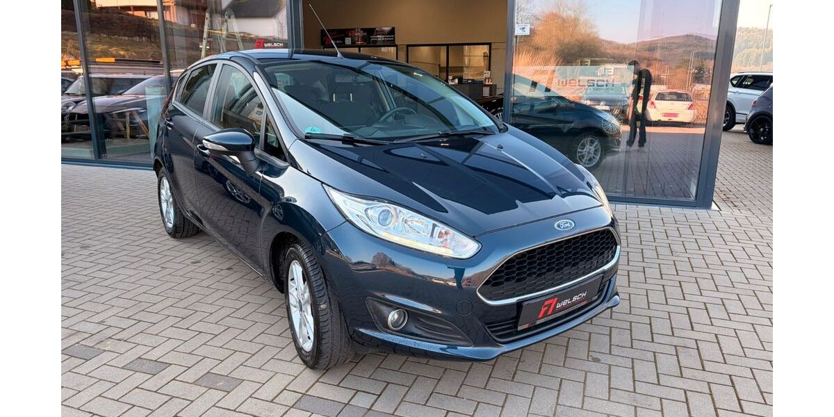Ford Fiesta 108.000 km 7.599 &euro; Mittenaar 35756