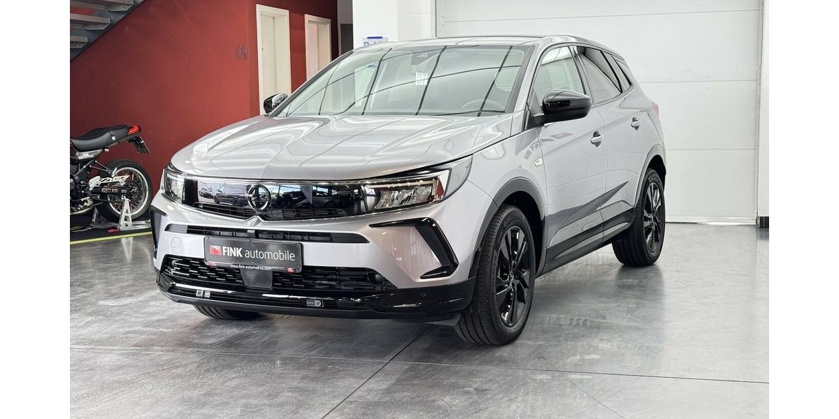 Opel Grandland 1.2 Turbo GS Line CarPlay Cam 7.412 km 18.740 &euro; Lich 35423