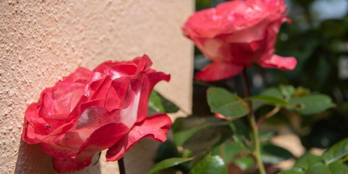 Einfamilienhaus Grävenwiesbach - 9 Zimmer, 248 m&sup2;, 495.000&euro; | Angebot:25695752