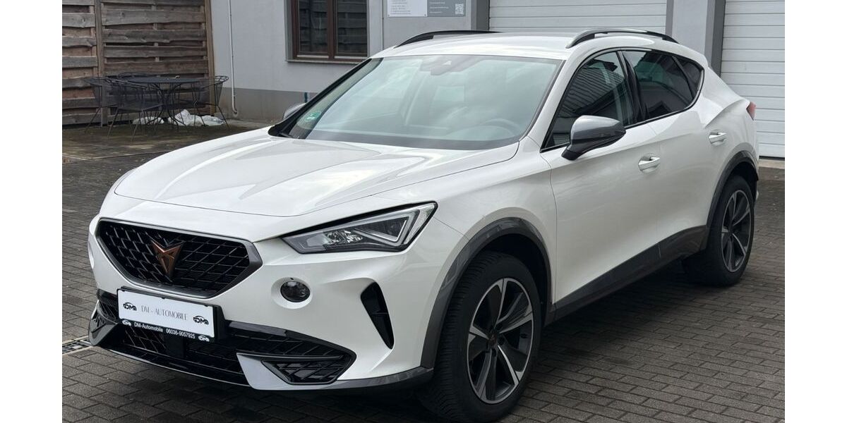 Cupra Formentor 25.000 km 25.990 &euro; Wölfersheim 61200