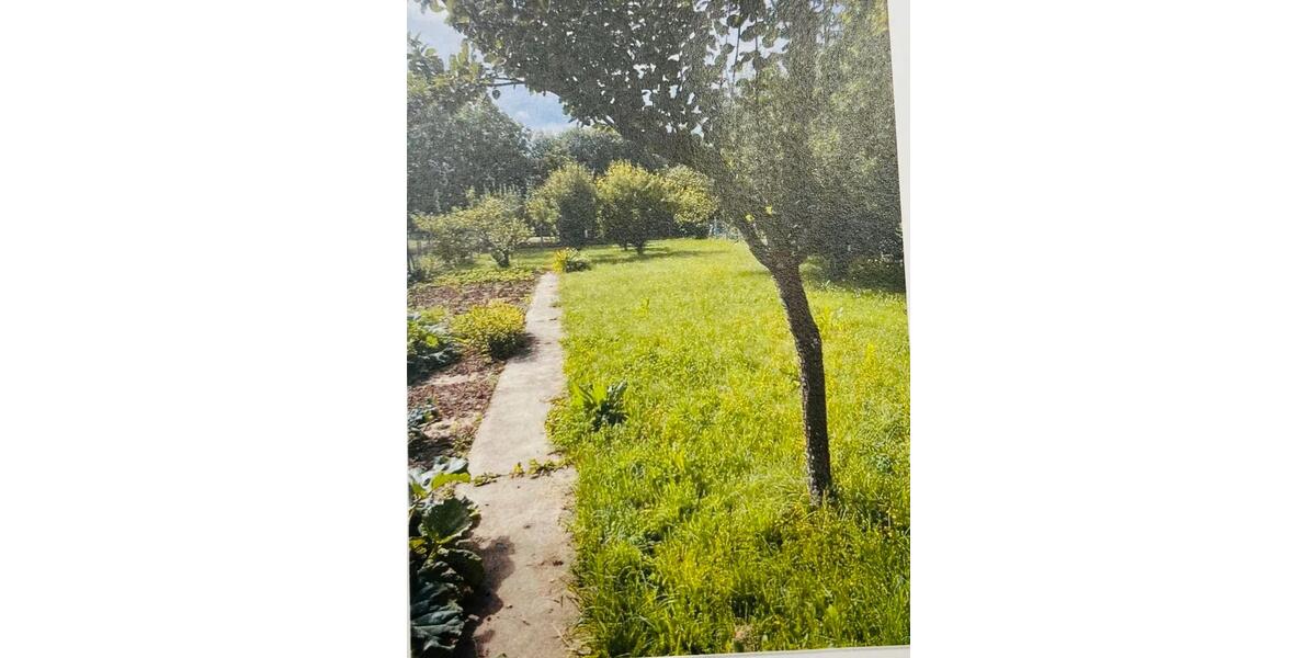 Einfamilienhaus Butzbach - 425.000&euro; | Angebot:25934463